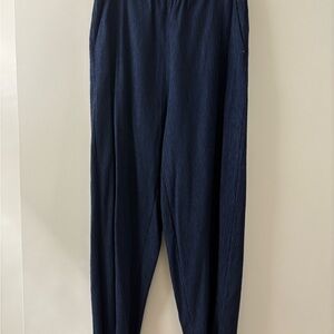 Everlane Navy Pants